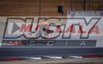 Photography #1856 from Excel Garage Star Search 2025