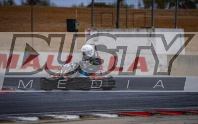 Photography #1858 from Excel Garage Star Search 2025