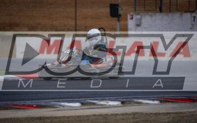Photography #1860 from Excel Garage Star Search 2025